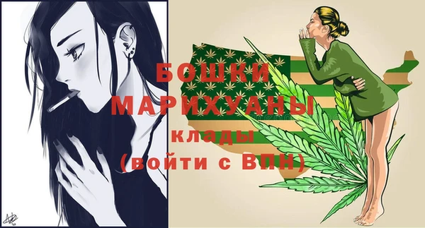2c-b Горно-Алтайск